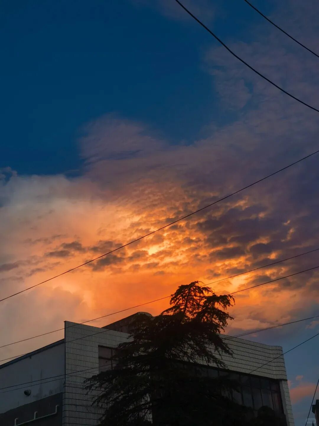 Lɳҵ͑(yng)ԓM@NطϪɭ֟I؁СtW(wng)퓰